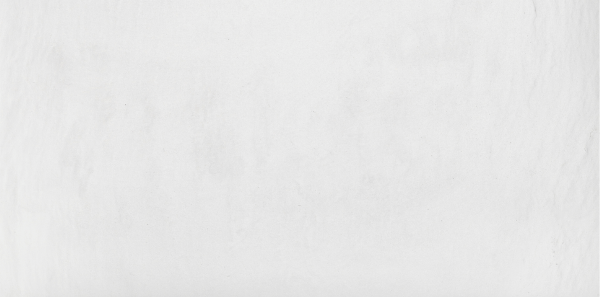 Ardesia Bianco 30x60 Polcolorit