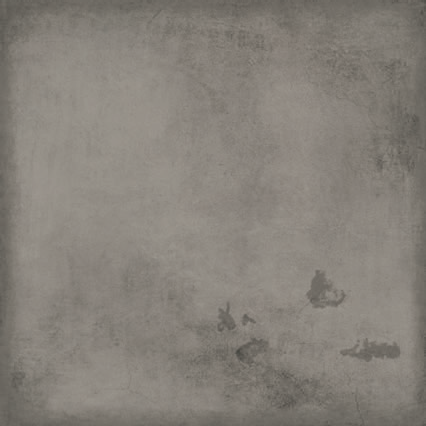 Life Plomo Pulido 60x60 Prissmacer