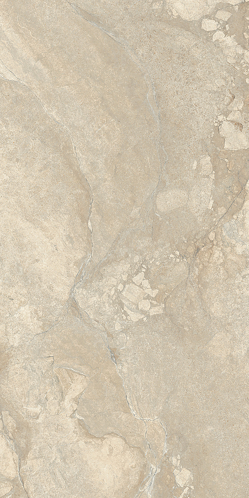LGXAL25 Anthology 02 Desert Nat. RT 9.5mm 60x120 Lea Ceramiche