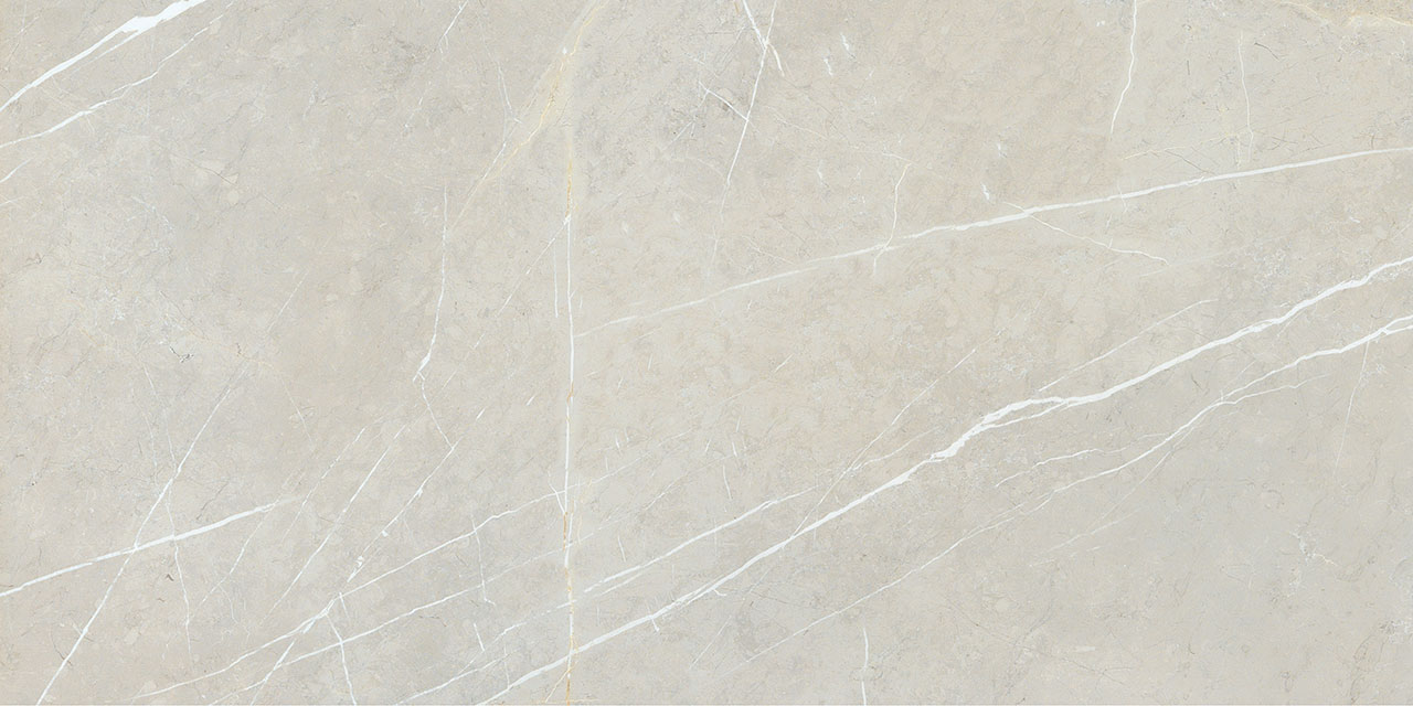 BB612NTT9101P Bright And Shiny 60x120 NT Ceramic