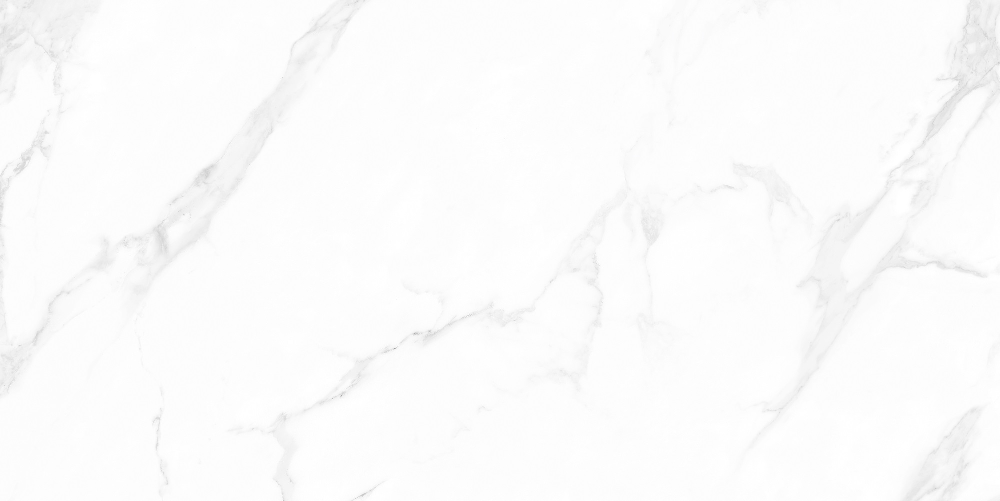 M4402P Carrara Anita Glossy 60x120 Buono Ceramica