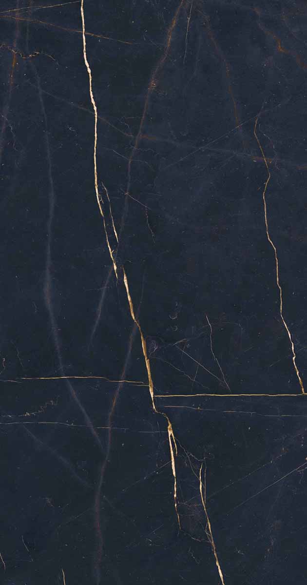 PF60011003 Precious Black Lux Ret 60x120 ABK