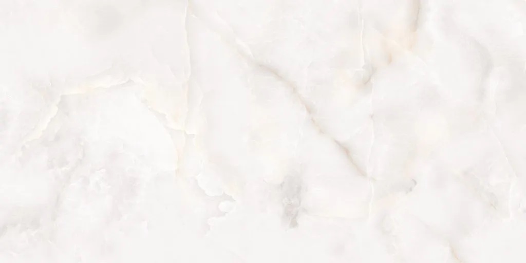 N20577 Classo Onyx Polished 60x120 Neodom