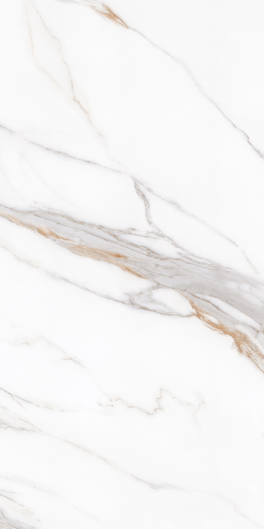 PT12J7058 Bianco Carving 1200х600х9 Protiles