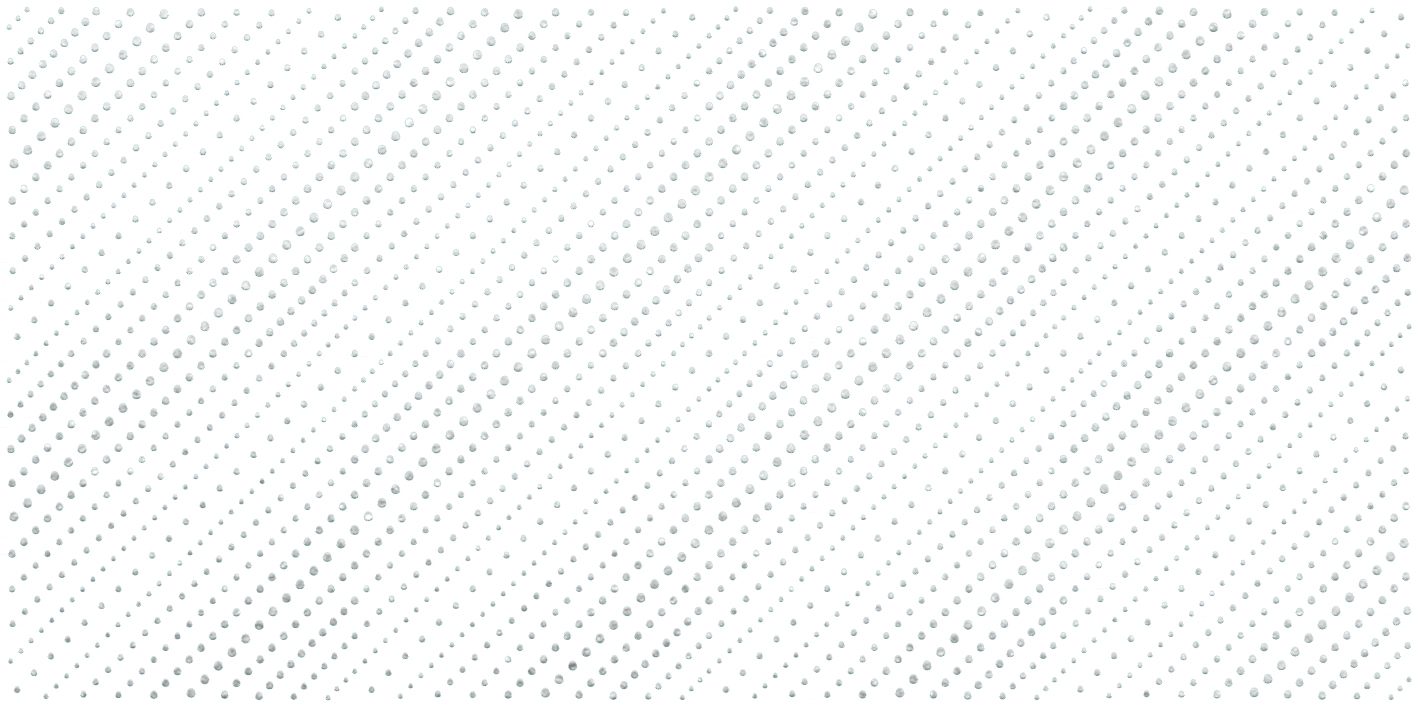 DW9CFT00 Confetti Blanco Декор 25x50 AltaCera