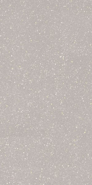 Moondust Silver Mat 59.8x119.8 Paradyz