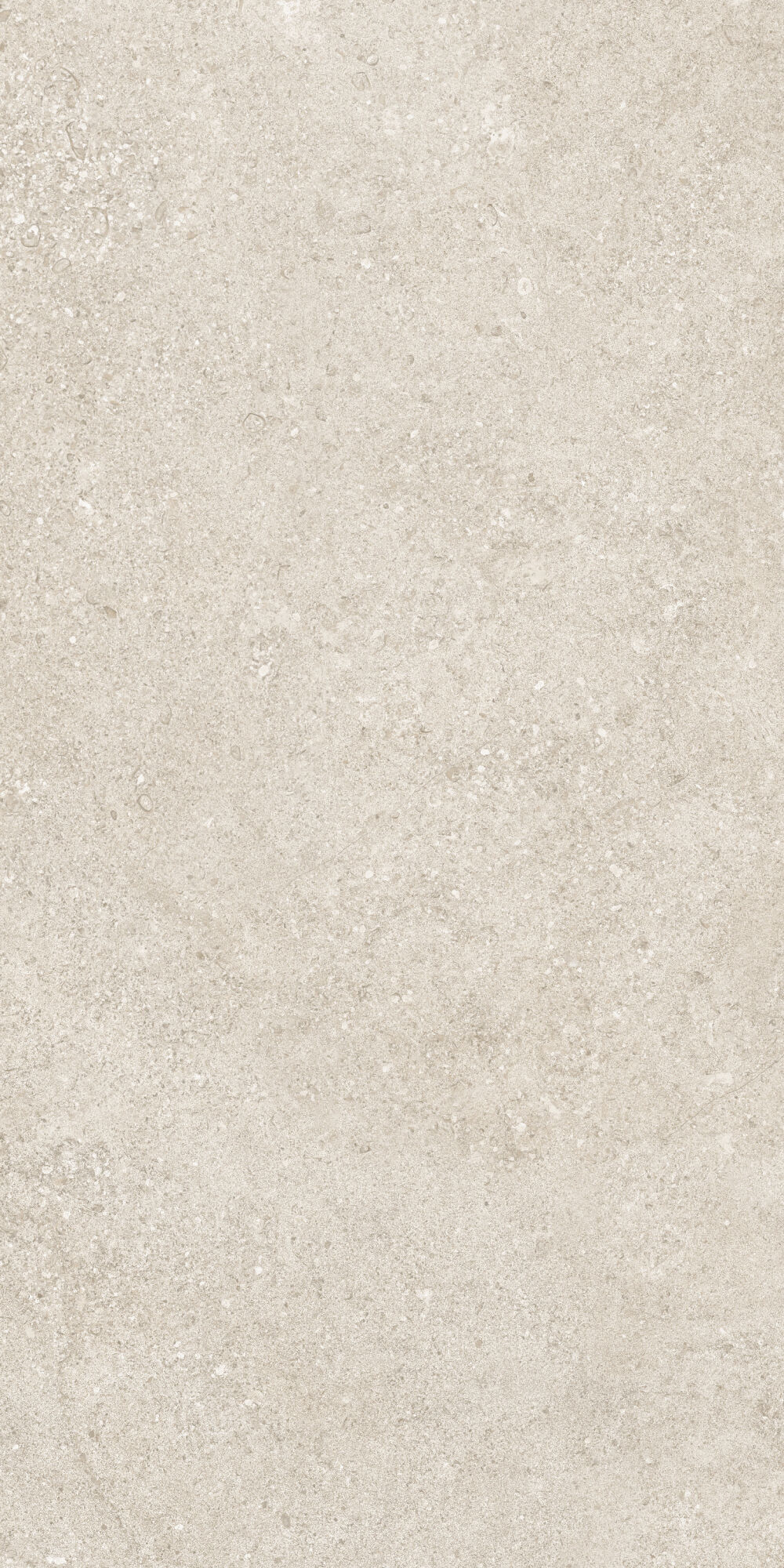 36902 Cluny Beige 4D/50X100X2/A/R 50x100 Peronda фото 23