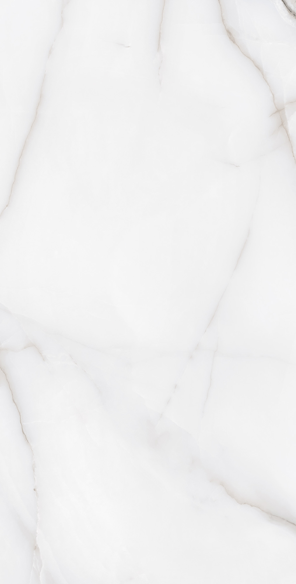 RT7012-A Feather Onyx Matt Rustic 60x120 Arcadia Ceramica