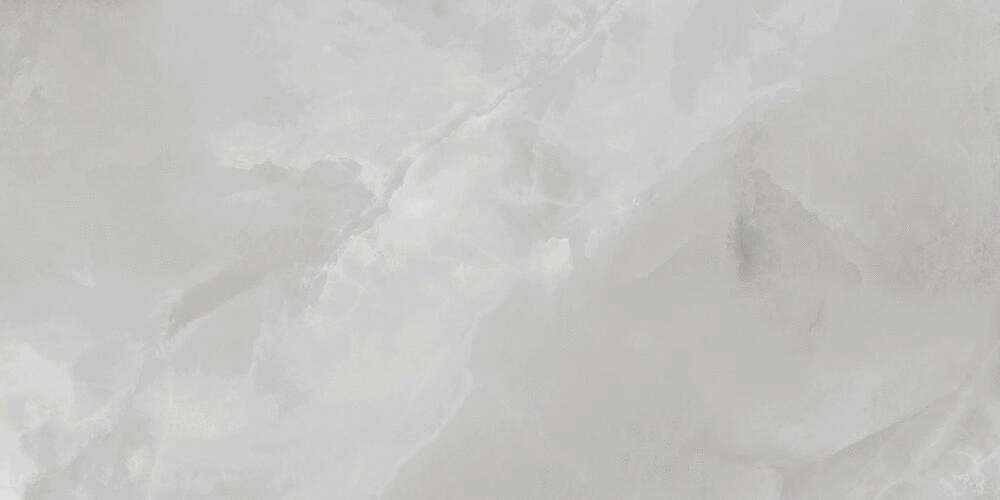 PR230 Vilema Grey Polished 60x120 PrimaVera