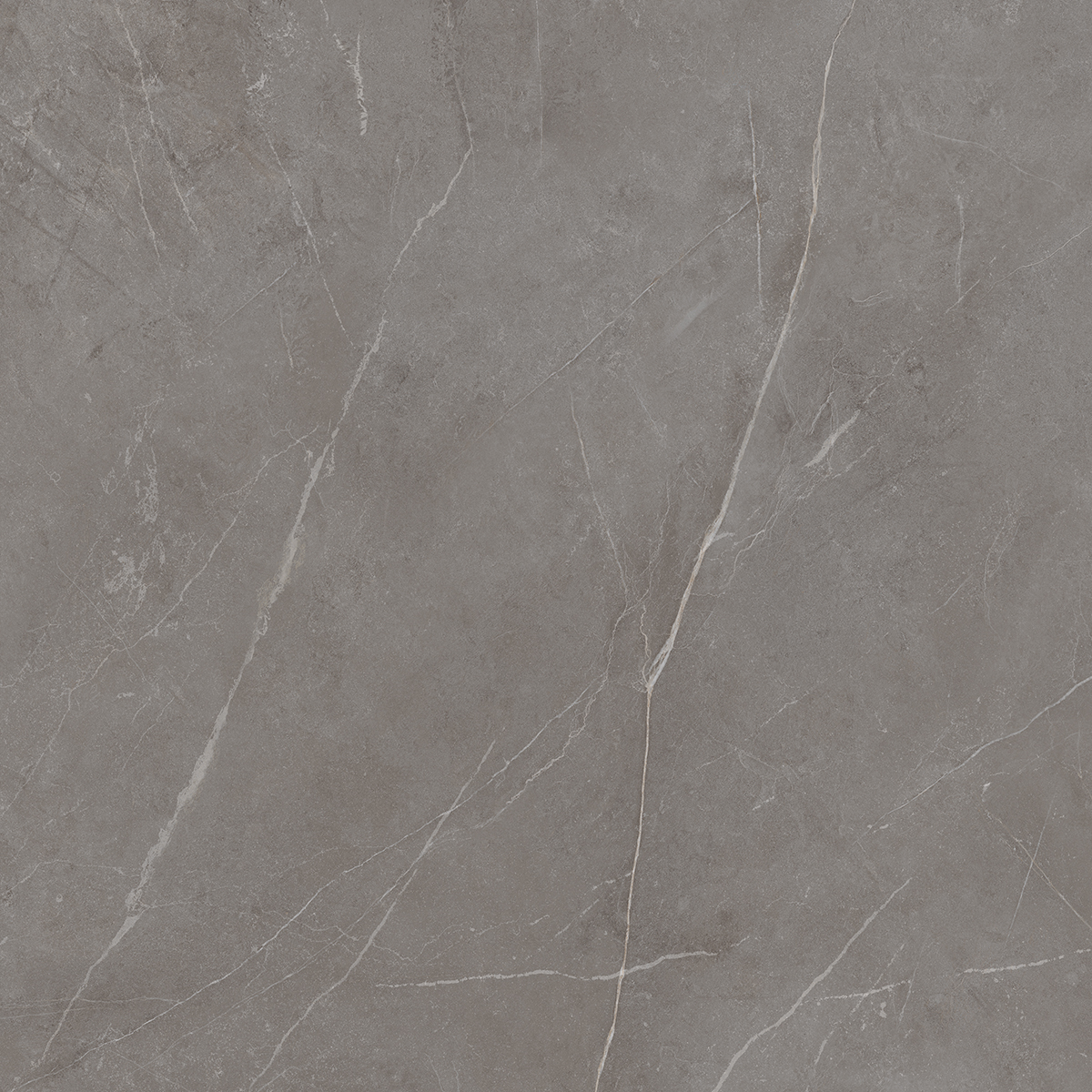 NL03 Nolana Dark Grey Неполированный Рект. 60x60x9  Estima фото 18