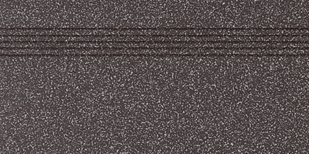 TCPSA069 TAURUS GRANIT 30x60 RAKO