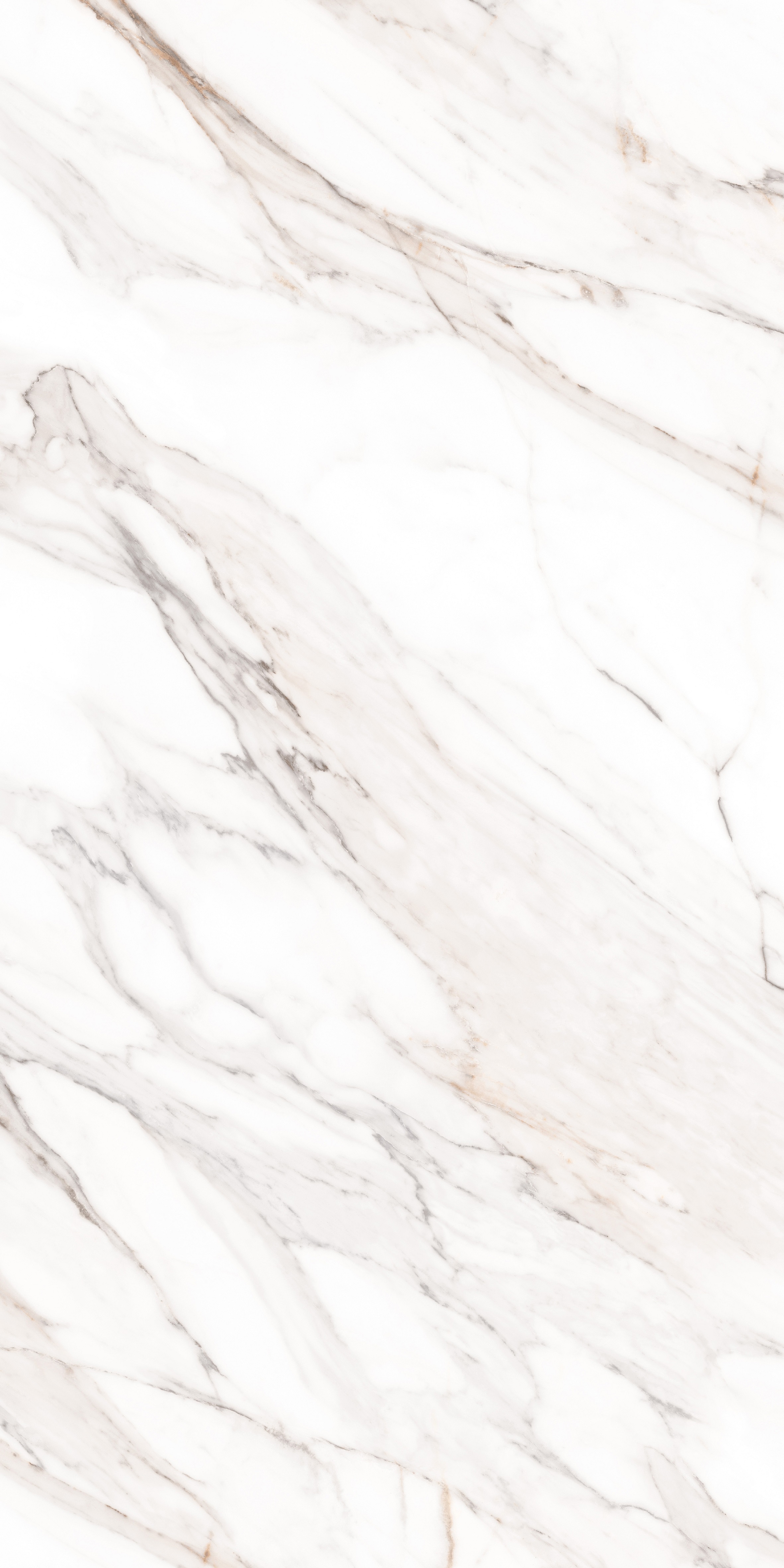 MPL-058641 Calacatta Gold Satin 80x160 Creto