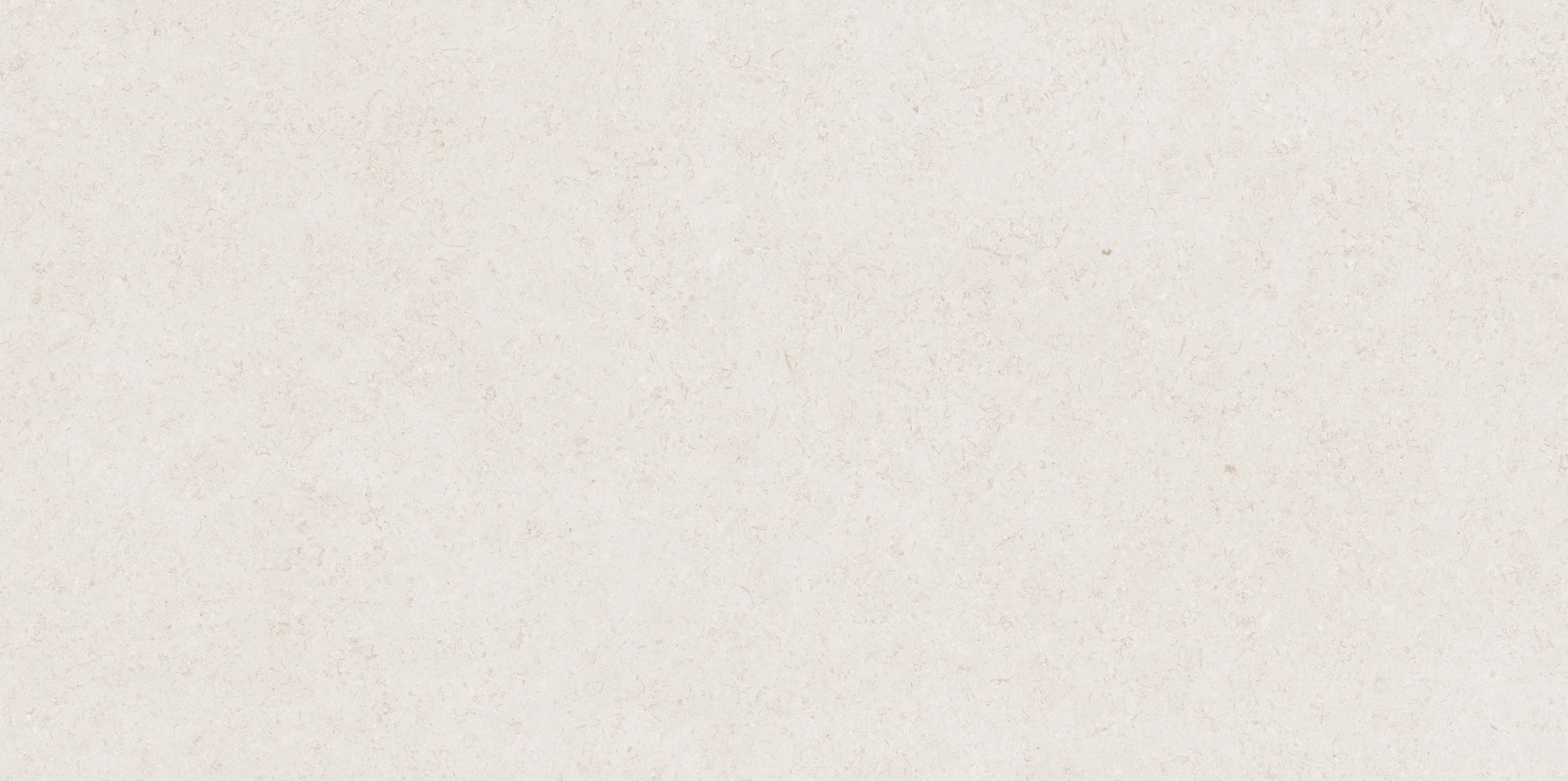 Mistic Light Grey Gloss 60x120 Realistik