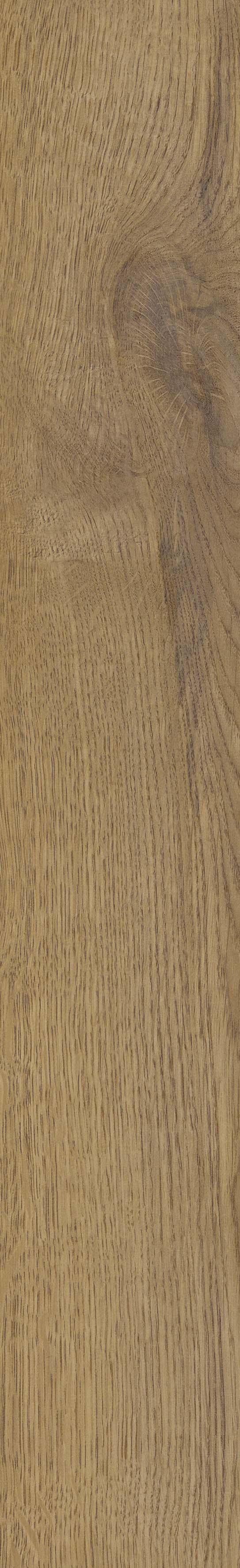 SGR51 Velaris Honey 9.2x60 Stargres