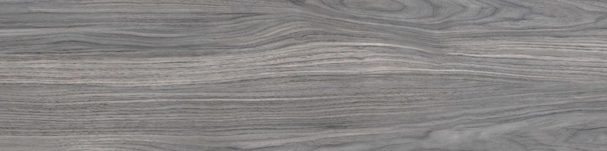 WD12 Forest Grey 20x80 PrimaVera