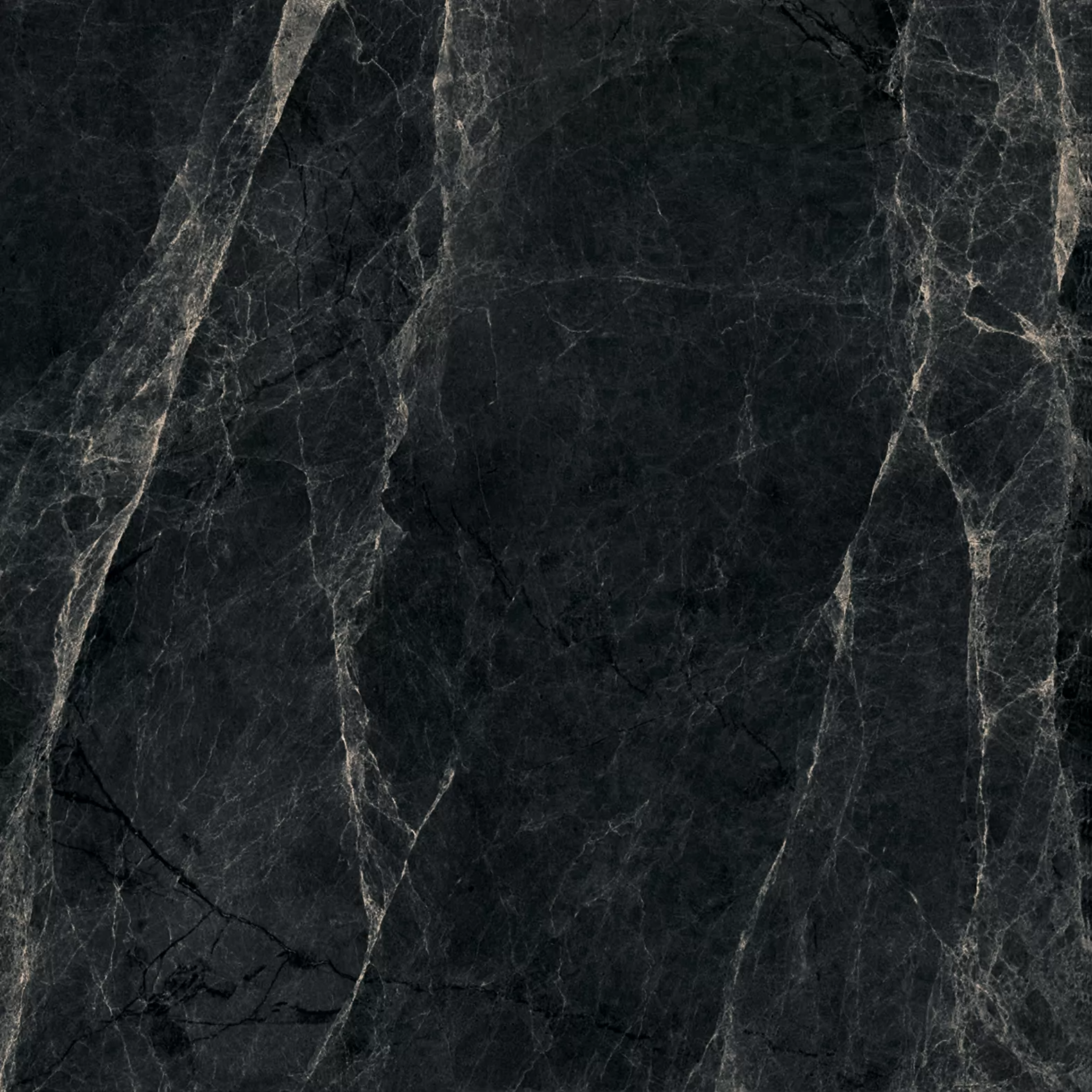 Worner Black sugar lapp. 60x60 Bluezone фото 7