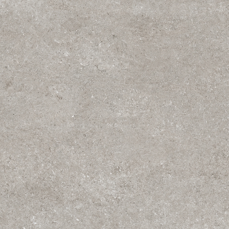 768369 Sensi Grey Fossil R+PTV Ret 80x80 Casa Dolce Casa