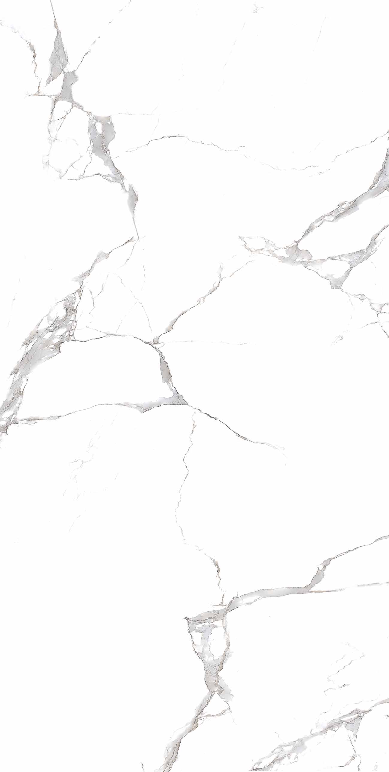 Emmy White polished 60x120 Realistik