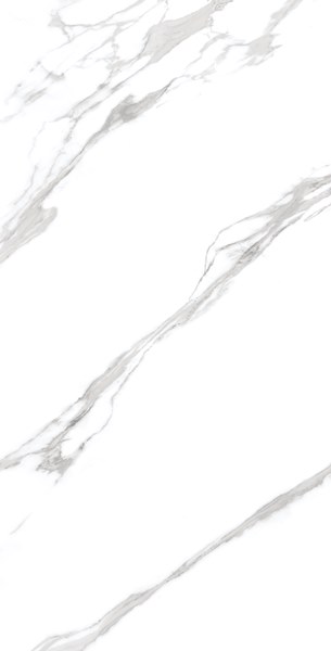 REGAL STATUARIO Glossy 60x120 One Touch