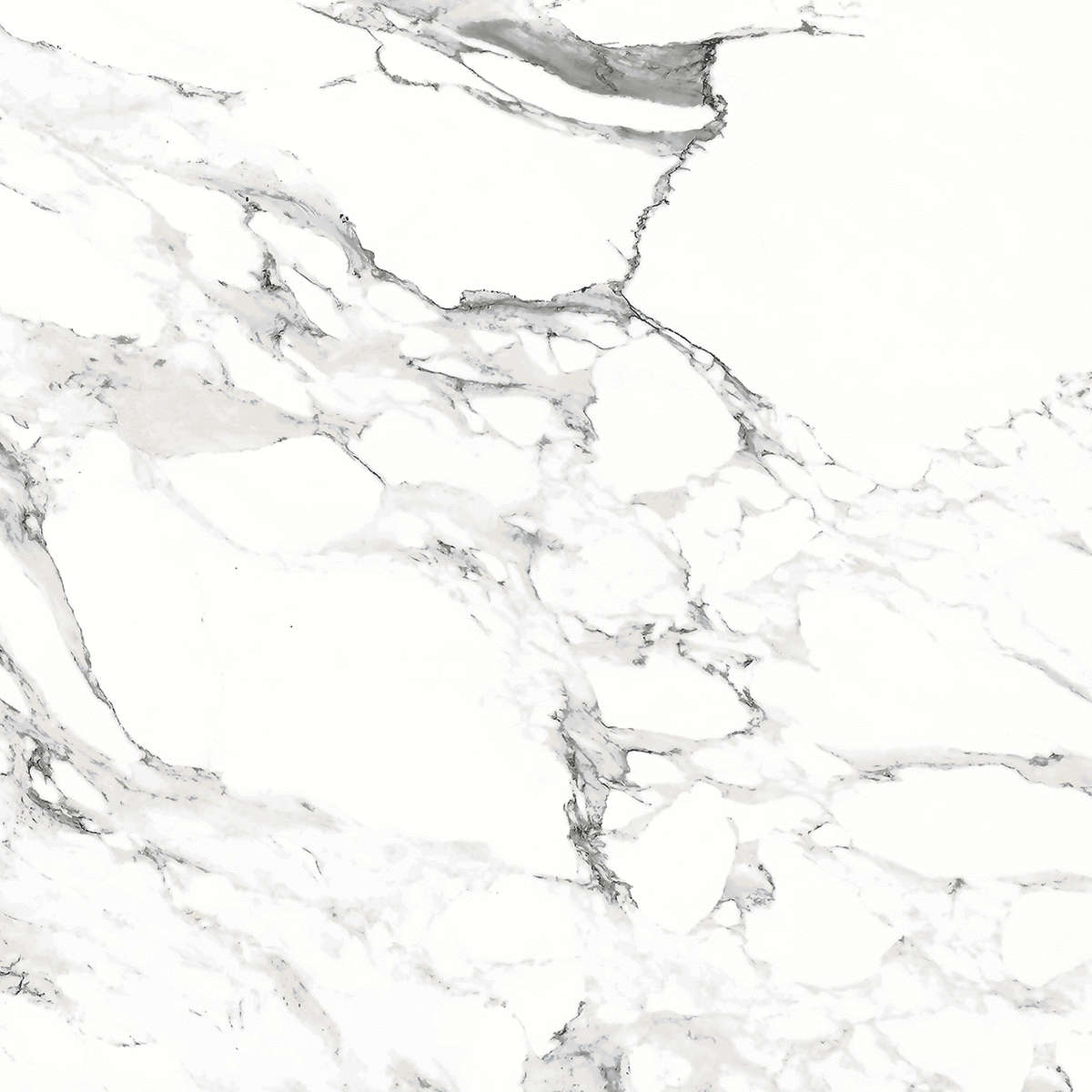 Bianco carrara PGVT 60x60 Casati Ceramica