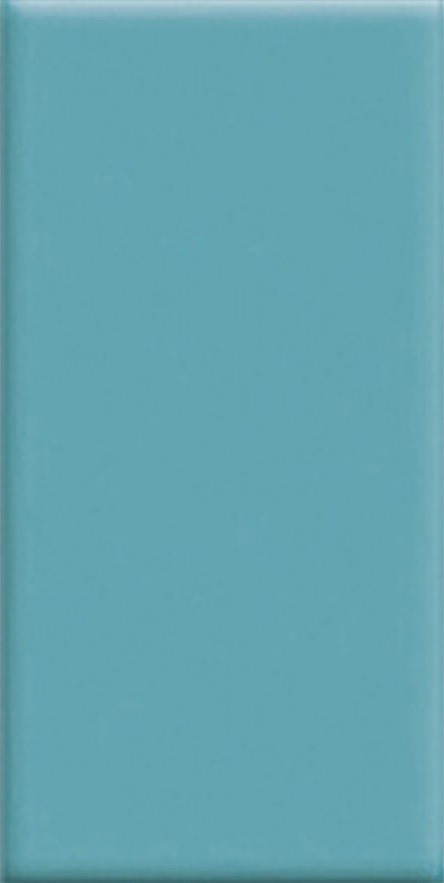 80122.3 Turquoise 12x24,5 Serapool