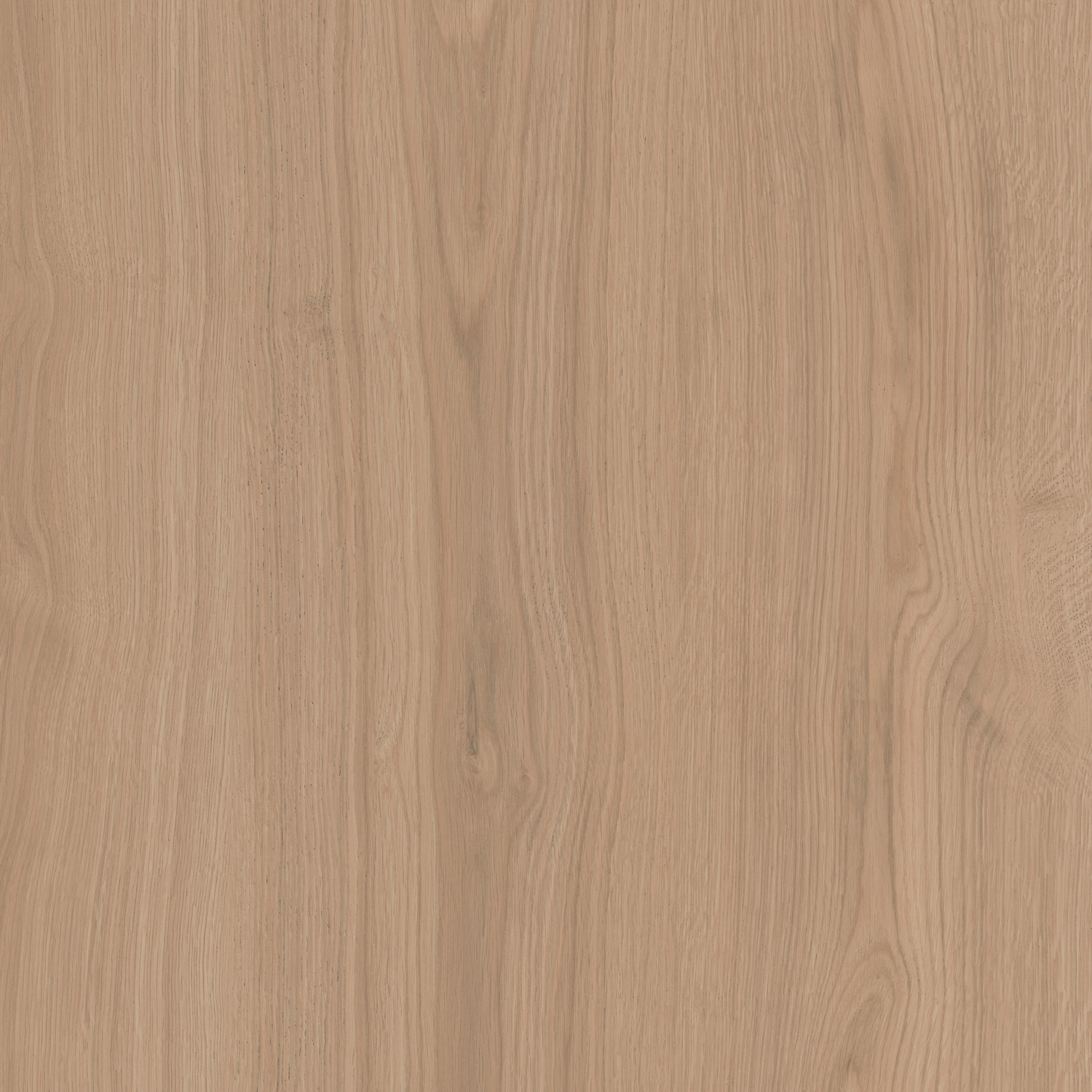 SG643620R Альберони бежевый матовый обрезной 60x60x0,9 Kerama Marazzi