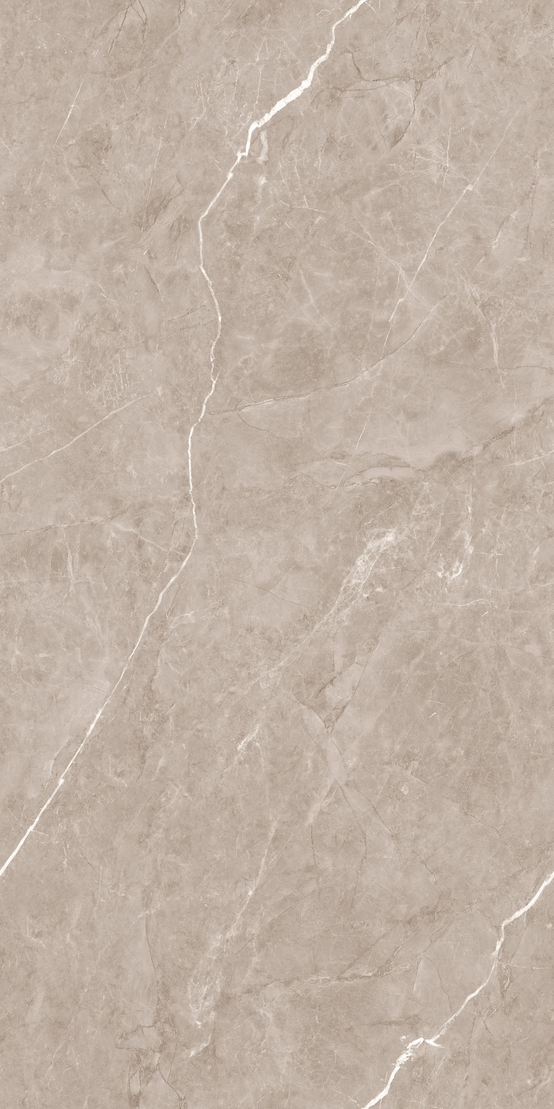 Flurry Taupe Carving 60x120 Duna