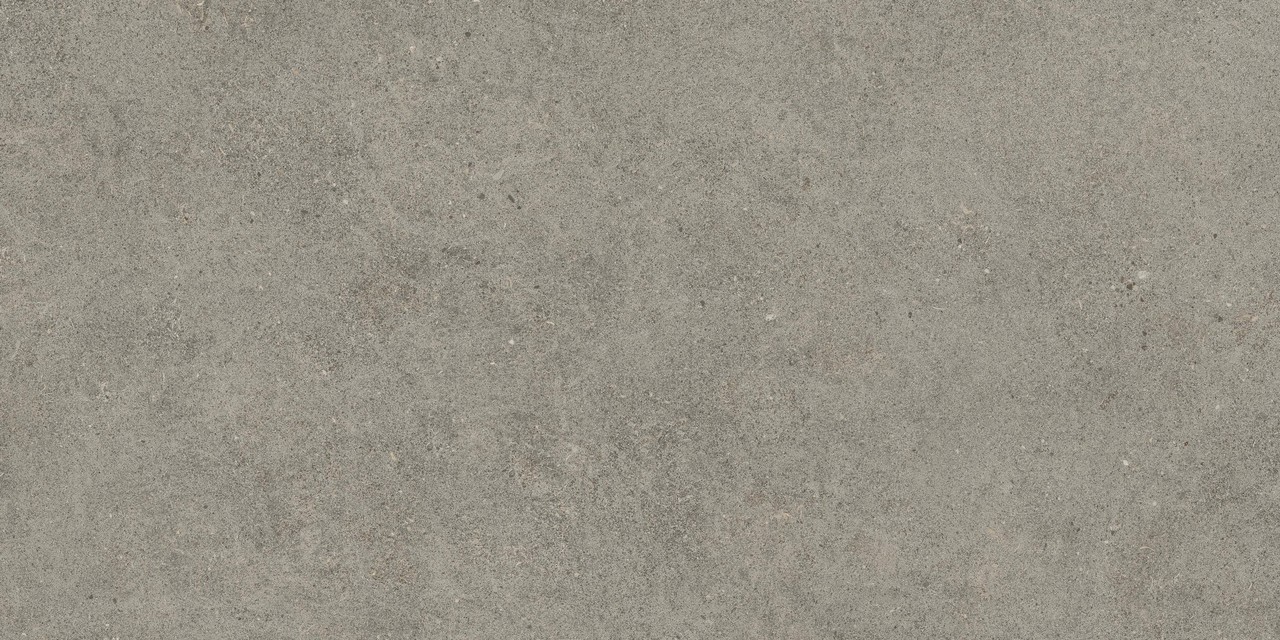 610010005821 Forte dei Marmi Rock Lunar Grey Matt Rett 60x120 Atlas Concorde Russia