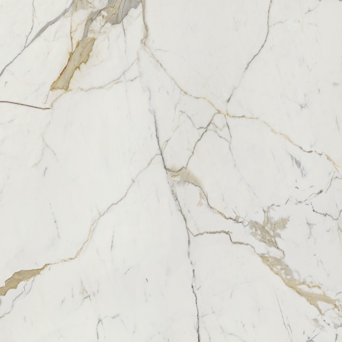 Vision Calacatta Oro 120x120 Dado Ceramica