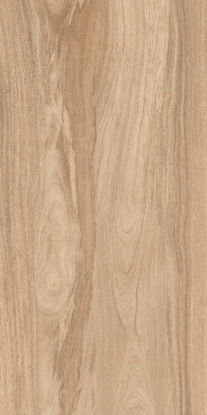 Taiga Dark Matt Carving 60х120 Gresant