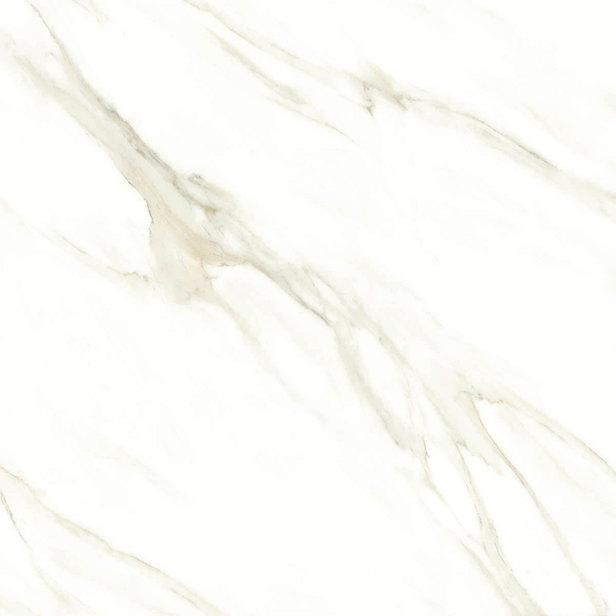 Cassini carrara PGVT 60x60 Casati Ceramica