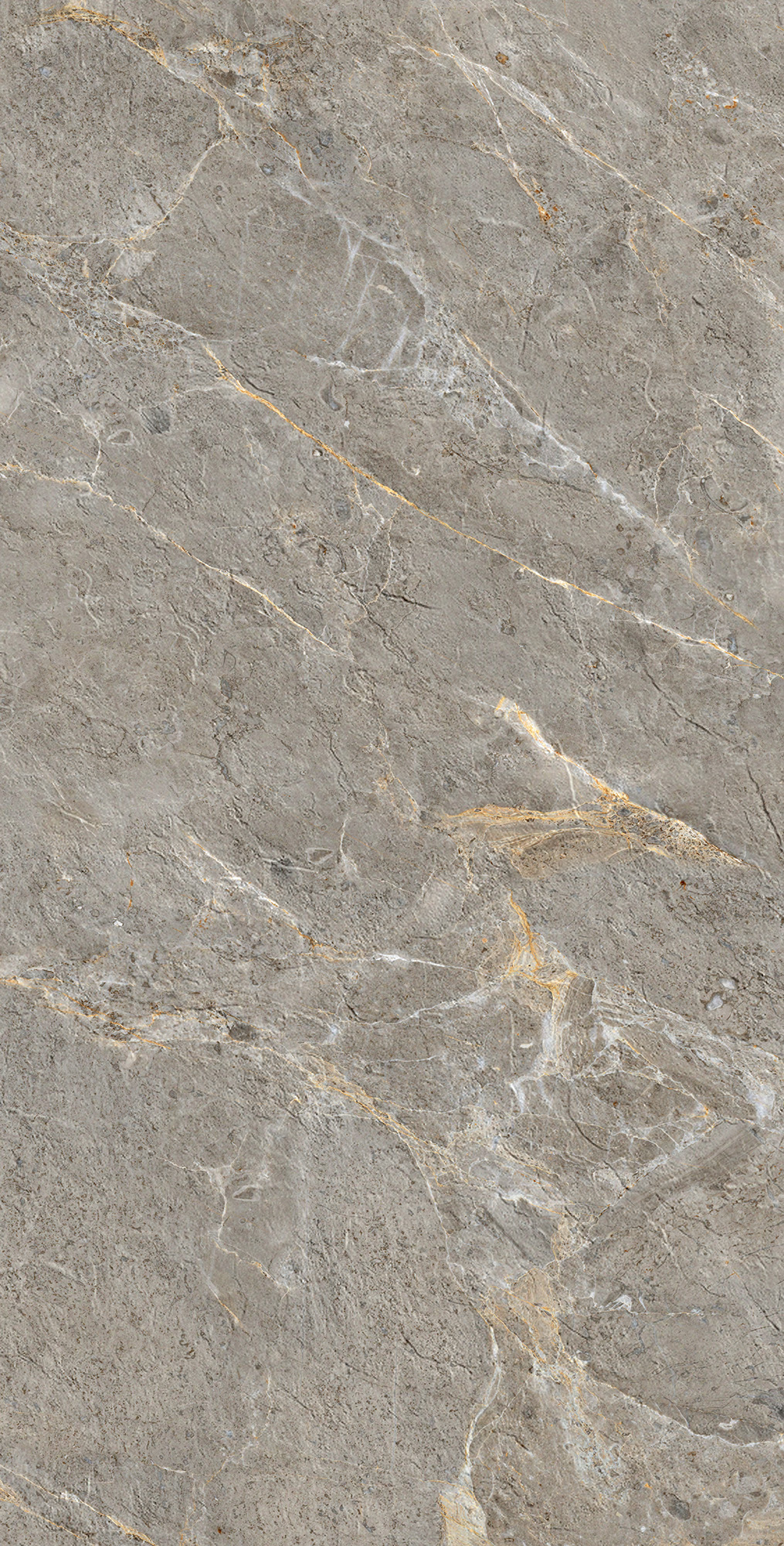 GI8006-B Royal Grey Matt Glossy Ink Punch 60x120 Arcadia Ceramica