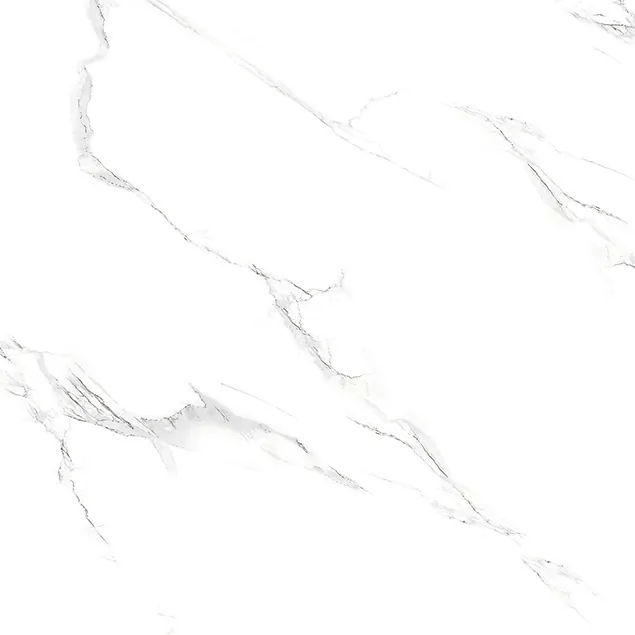 TP66M28 Атаго матовый 60x60 PrimaVera