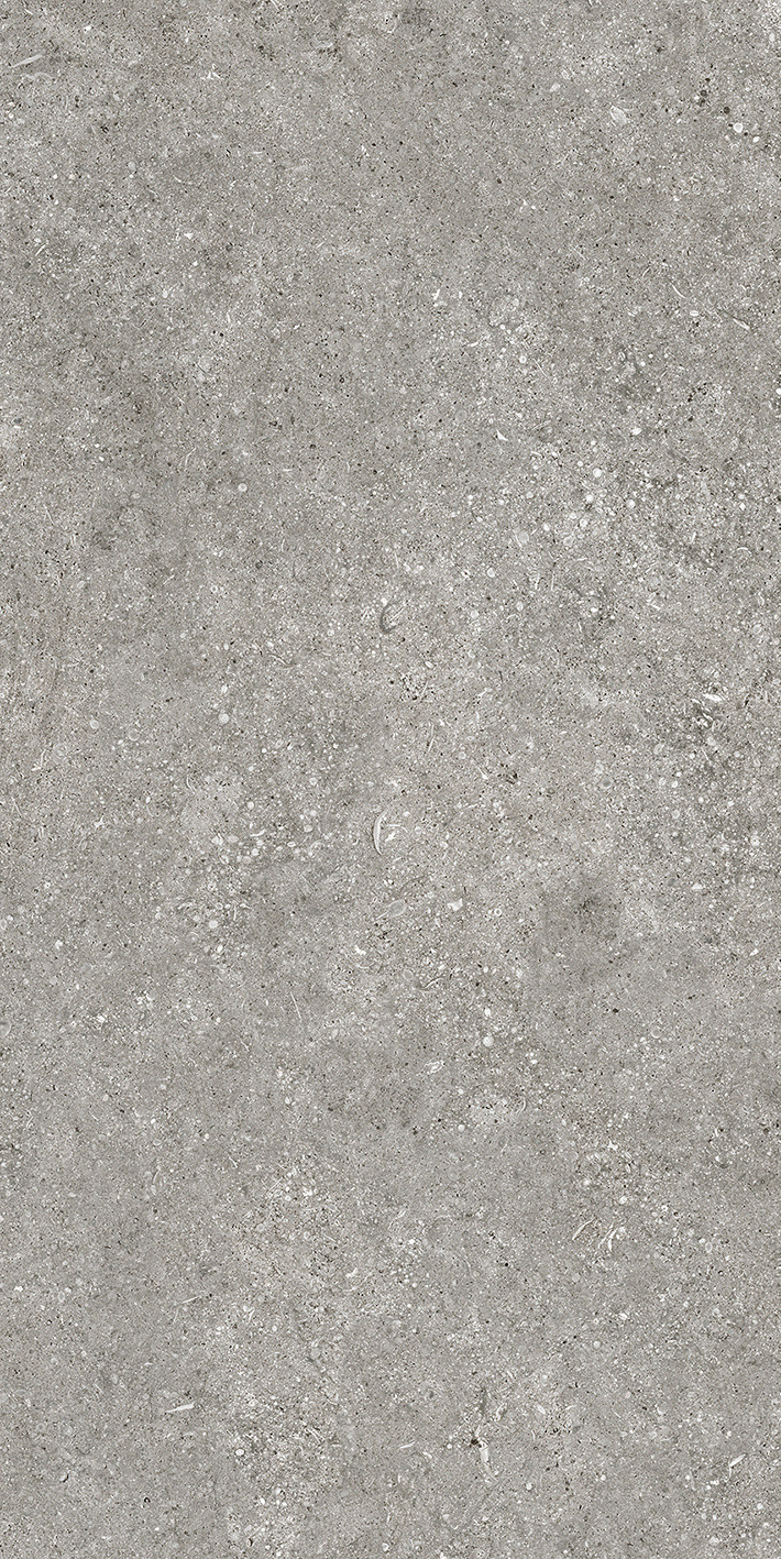 768621 Sensi Grey Fossil Nat Ret 6mm 60x120 Casa Dolce Casa