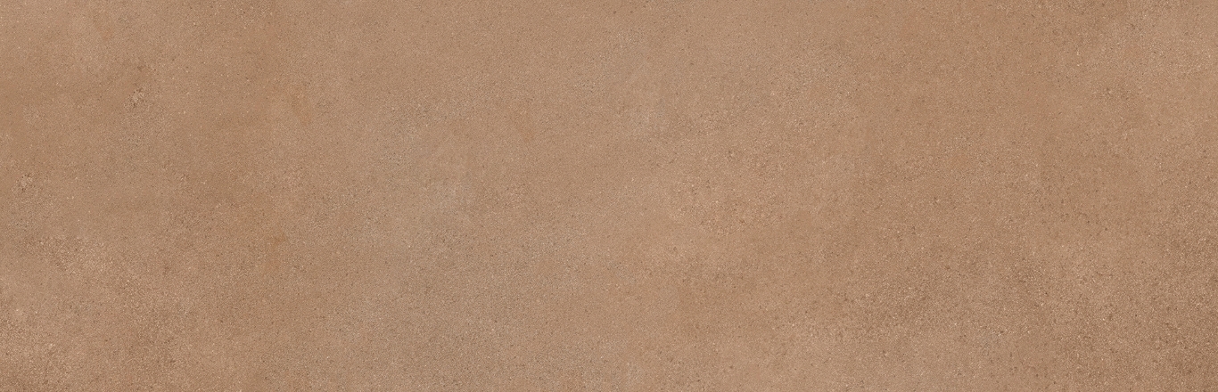 Mediterranea Coral R 31,5x100 Undefasa