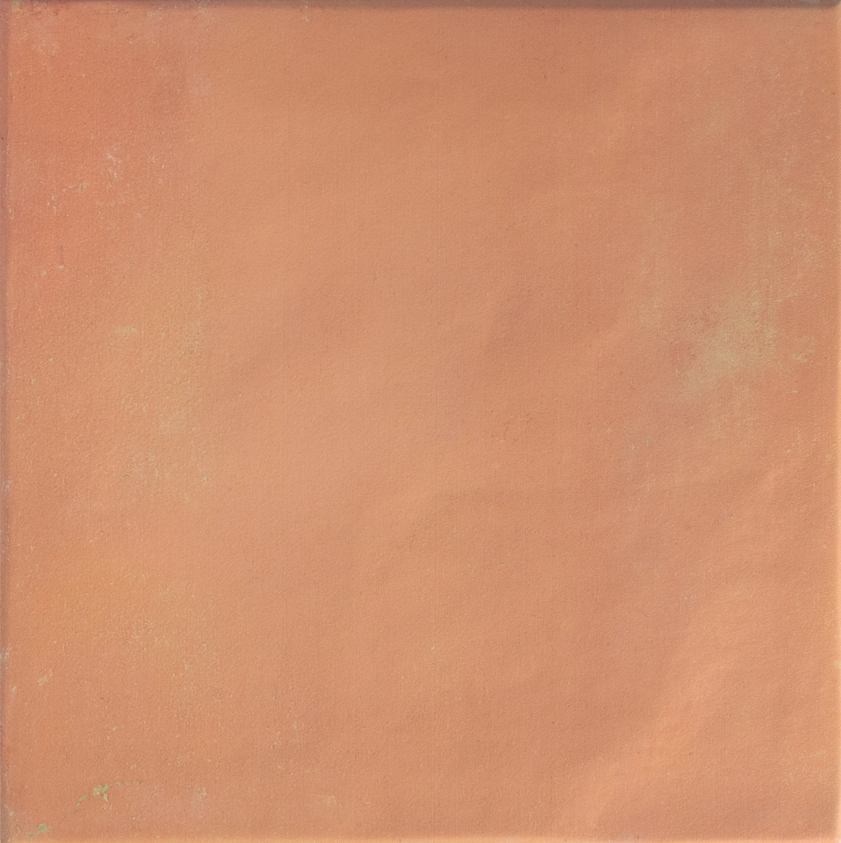 138718 Bow Square Cotto Matt 18.5х18.5 DNA Tiles