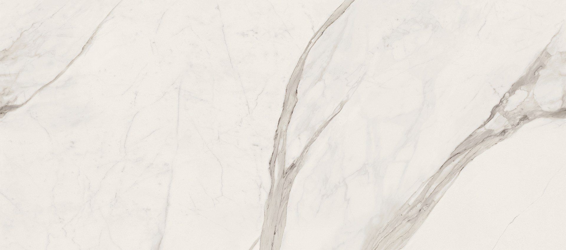 G67500 Statuario White Lux R 120x280 Versace (Gardenia Orchidea) фото 2