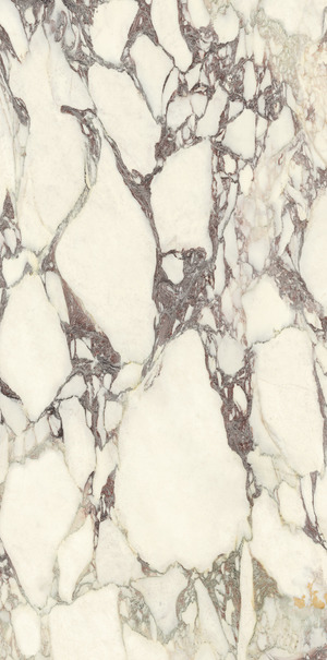 PL612671 Calacatta Viola Luc 60x120 Ariostea