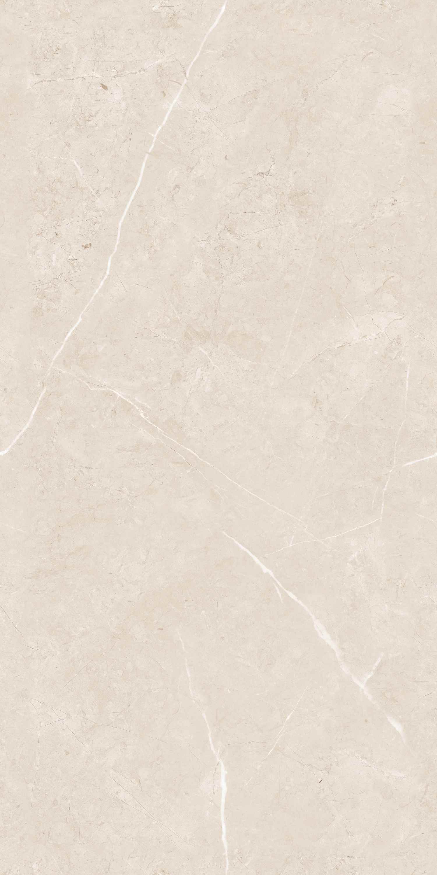 Caspio Ivory Velvet 60x120 BELLEZA фото 3