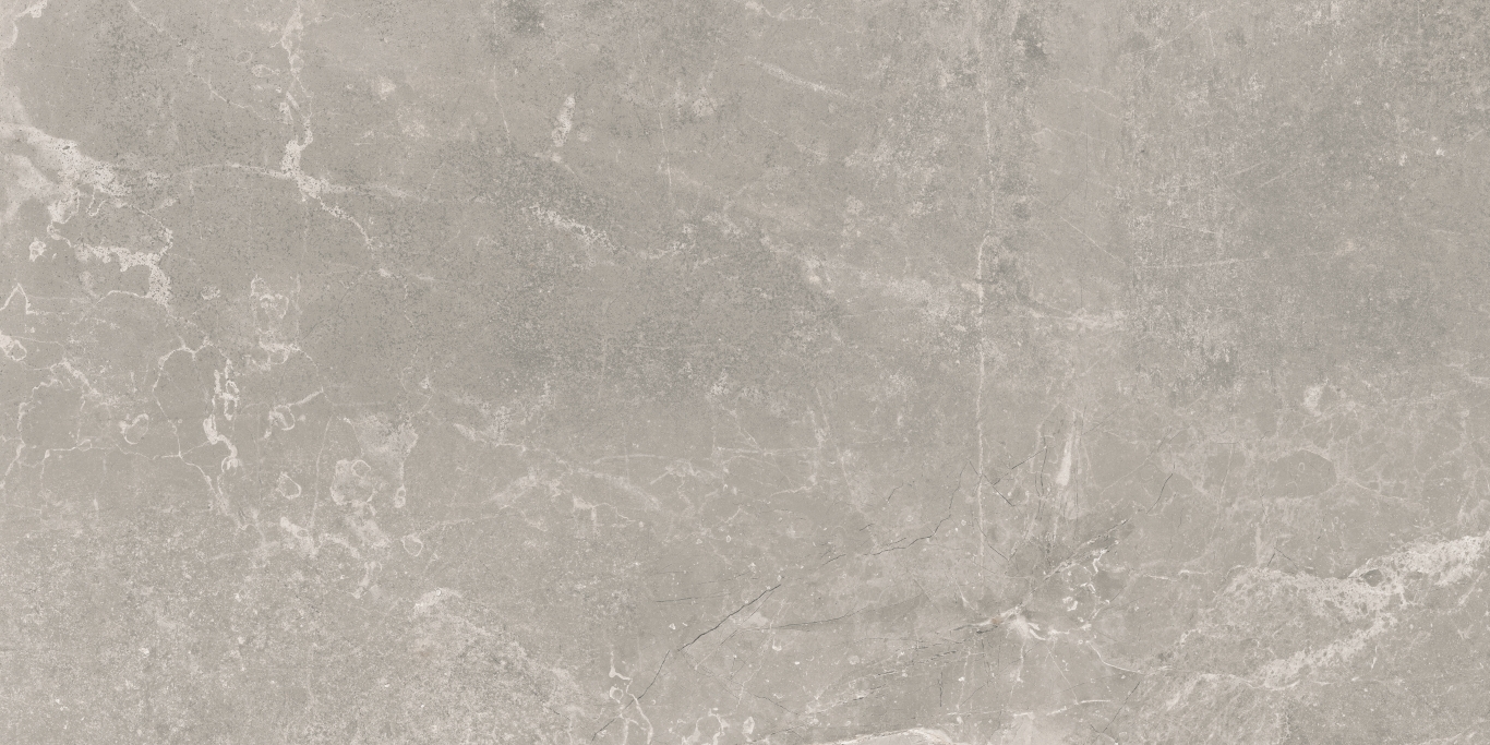 Concept Gray Pulido 60x120 Baldocer