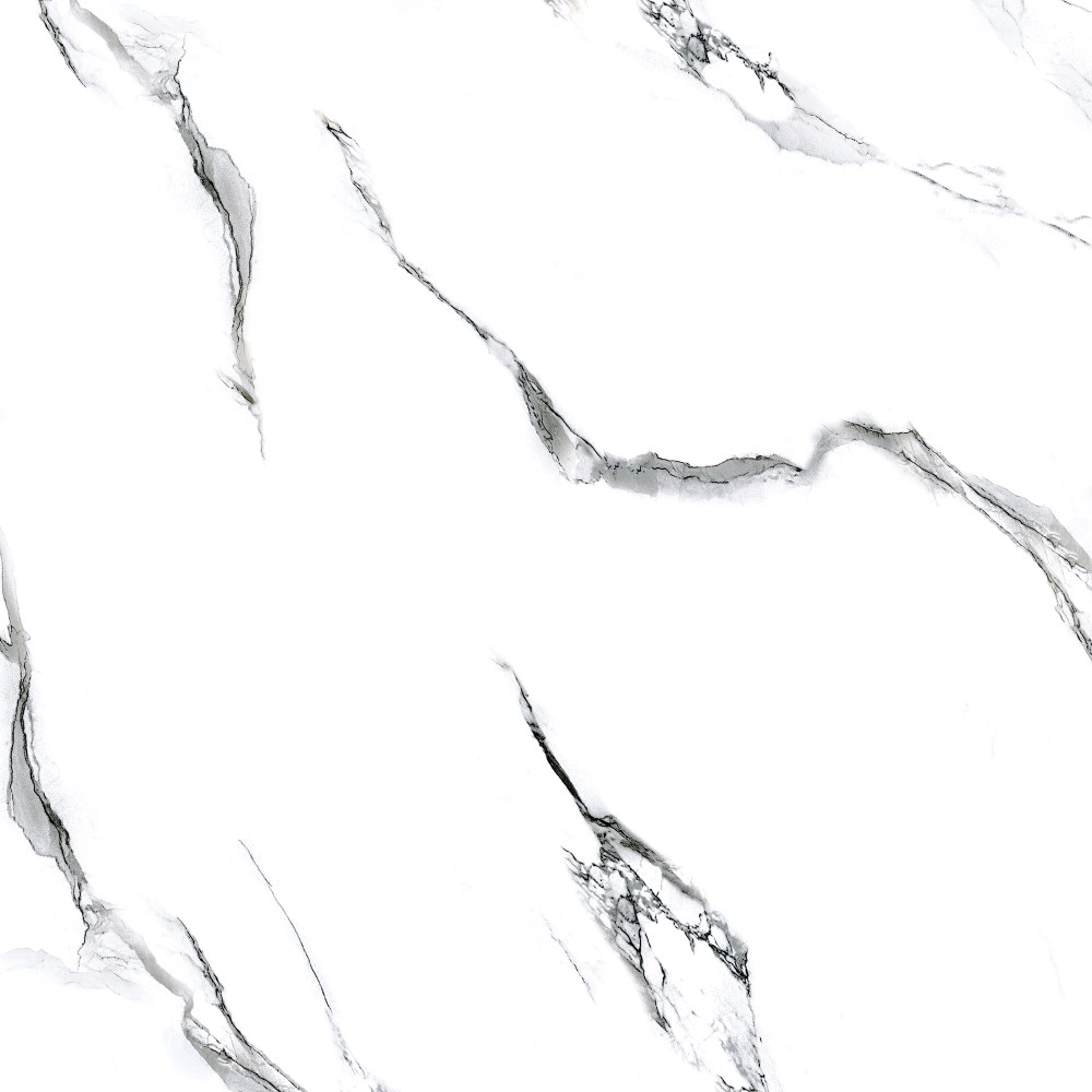 Molly white 60x60 Realistik