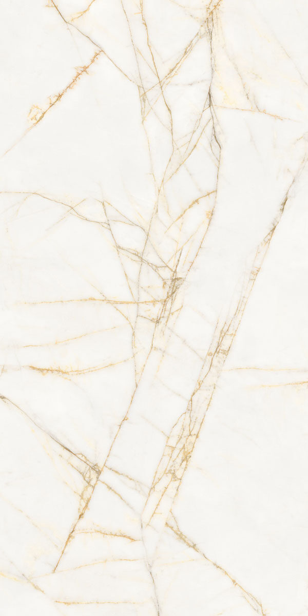 PF60017518 Supreme Hedonism Golden Spider Nat R 60x120 Flaviker
