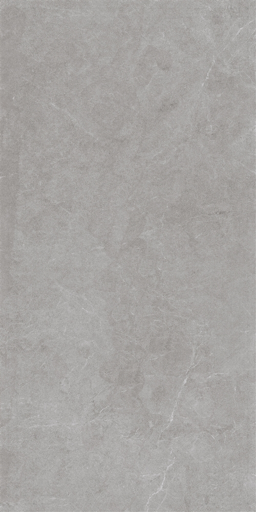 232 Ройс Грэй 60x120 Eurotile Ceramica