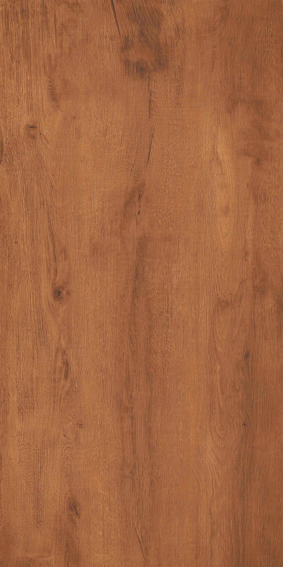 Kiel Brown Matt 60x120 Realistik