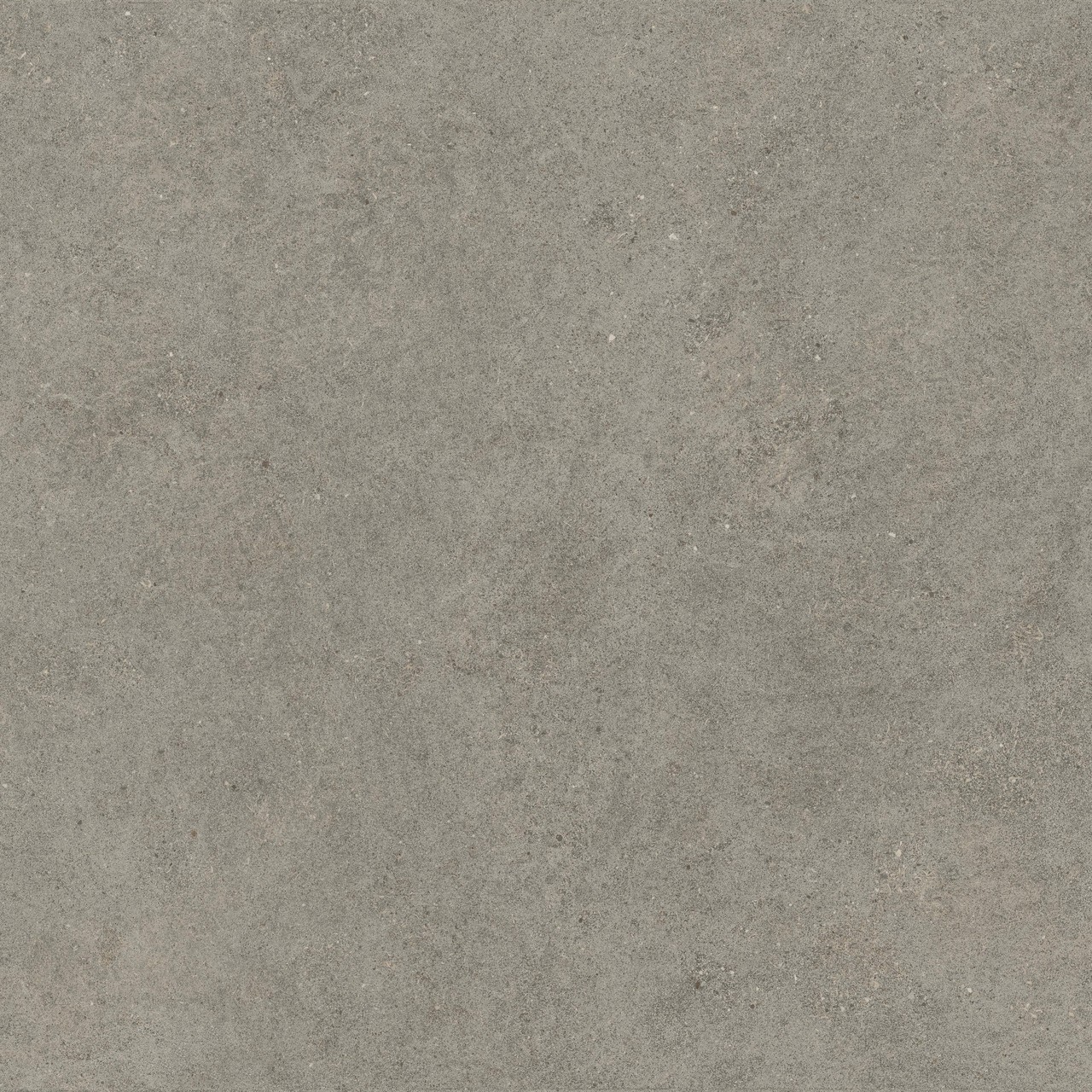 600010002429 Forte dei Marmi Rock Lunar Grey Matt Rett 120x120 Atlas Concorde Russia
