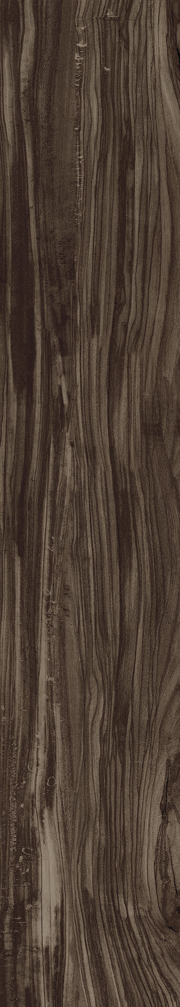 CW-CR01-B Pearsian Wood Charcoal Carving 20x120 Creanza