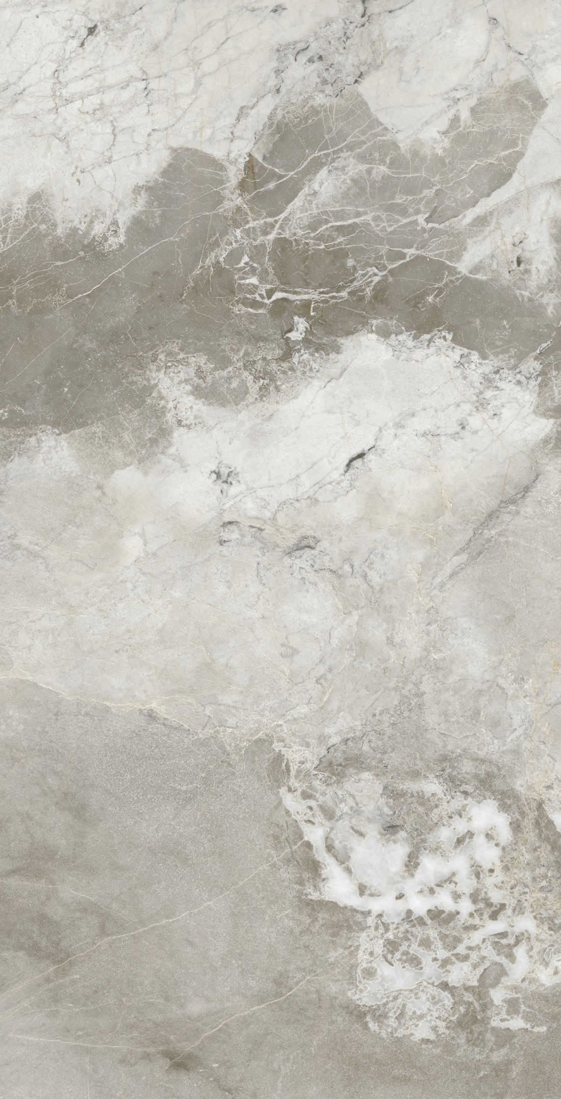 Manila Polished Golden Carving 60x120 Realistik