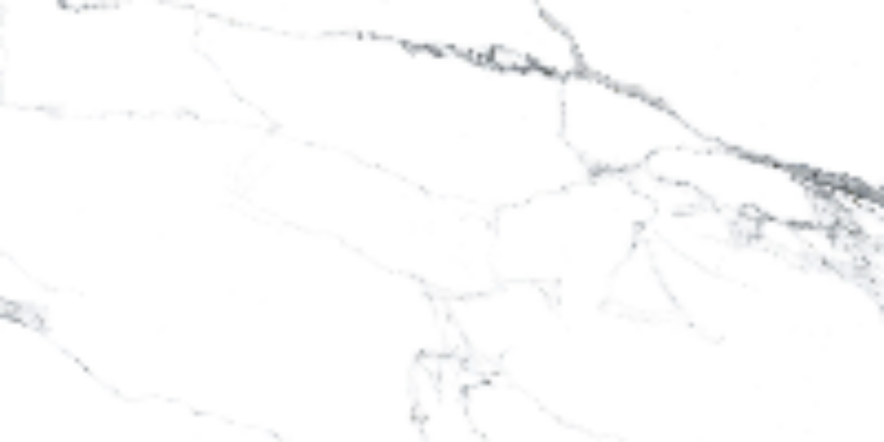 Statuariett White Pulido 60x120 Prissmacer