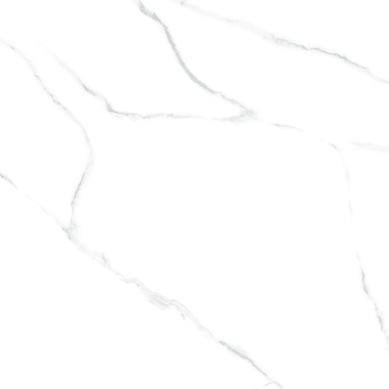 6060AMR00P Atlantic Marble 60x60 LCM