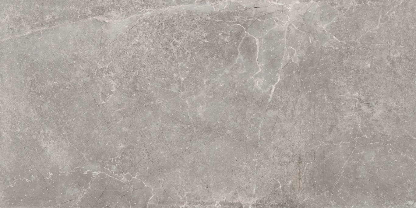 Concept Gray 60x120 Baldocer